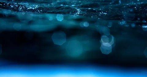 How Deep Is the Ocean? (And What Lives at the Very Bottom)