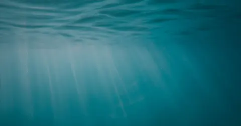 How Much of the Ocean Have We Explored? Less Than You Think, More Than 5%