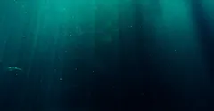 What Would Happen to Your Body at the Bottom of the Mariana Trench?