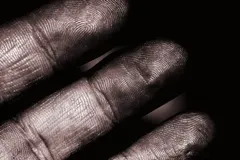 Why do we have fingerprints? A mystery science hasn't solved