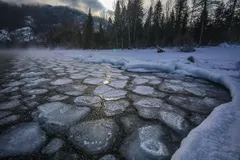 Why does ice float? The quirk that keeps fish alive all winter