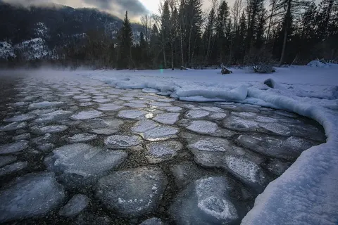 Why does ice float? The quirk that keeps fish alive all winter