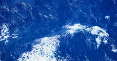 Why Is the Ocean Blue? The Water Absorbs Red Light, Not the Sky
